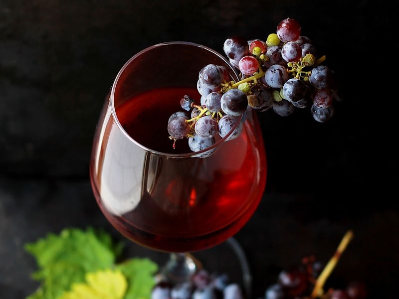 Séminaire d'entreprise et dégustation de vin en Provence