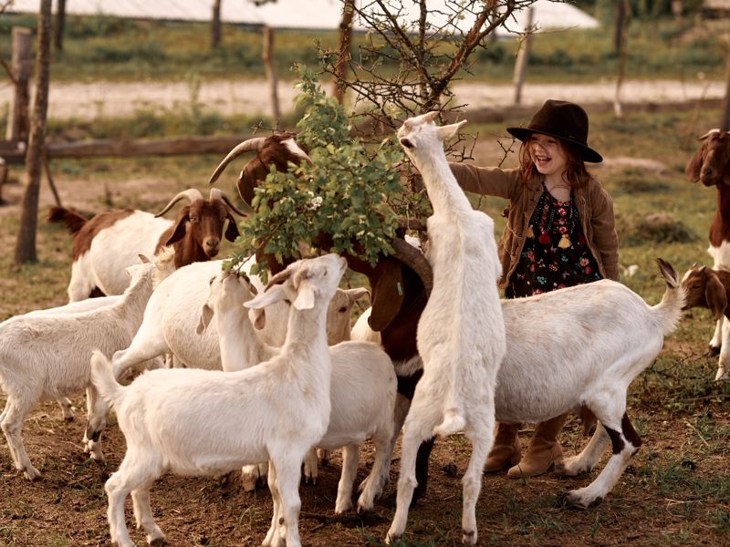 Évasion gourmande à la ferme en Provence avec tablée conviviale